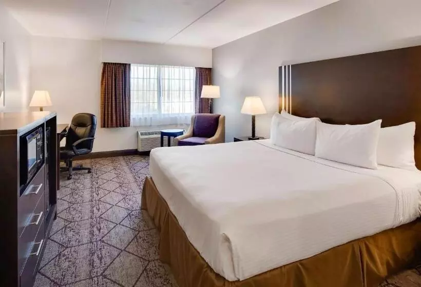 اتاق استاندارد با تخت بزرگ, Best Western Plus Longbranch Hotel & Convention Center