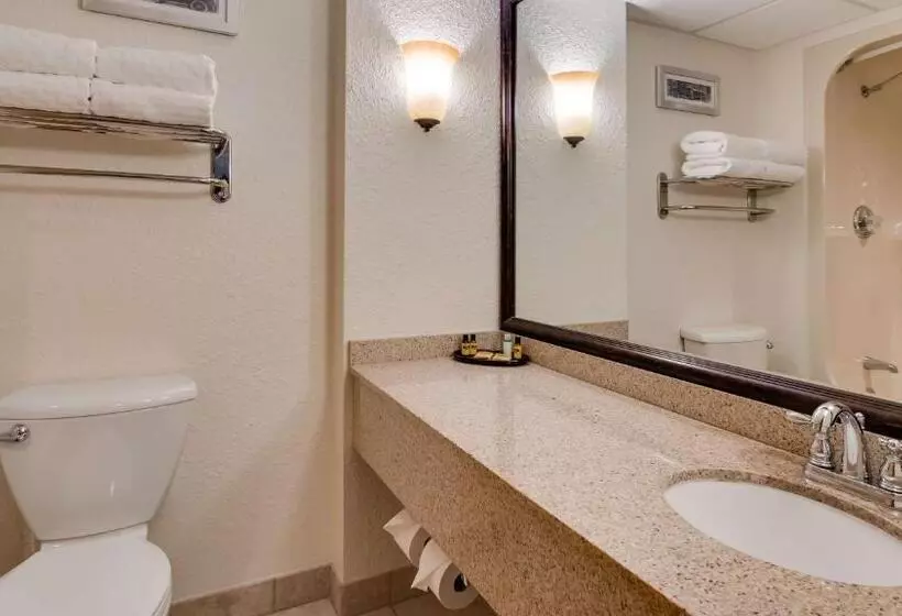 اتاق استاندارد با تخت دو نفره بزرگ, Best Western Plus Longbranch Hotel & Convention Center