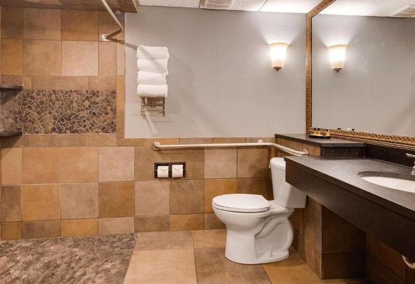 חדר סטנדרט מותאם לאדם עם מוגבלויות, Best Western Plus Longbranch Hotel & Convention Center