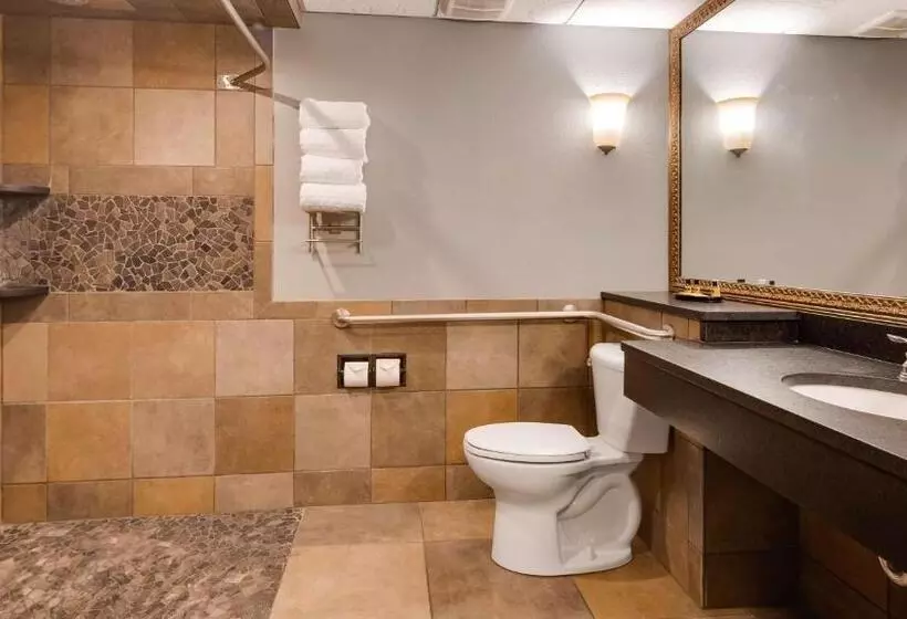 اتاق استاندارد برای معلولان, Best Western Plus Longbranch Hotel & Convention Center