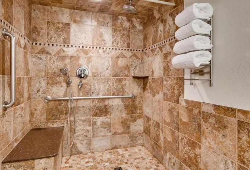 חדר סטנדרט מותאם לאדם עם מוגבלויות, Best Western Plus Longbranch Hotel & Convention Center