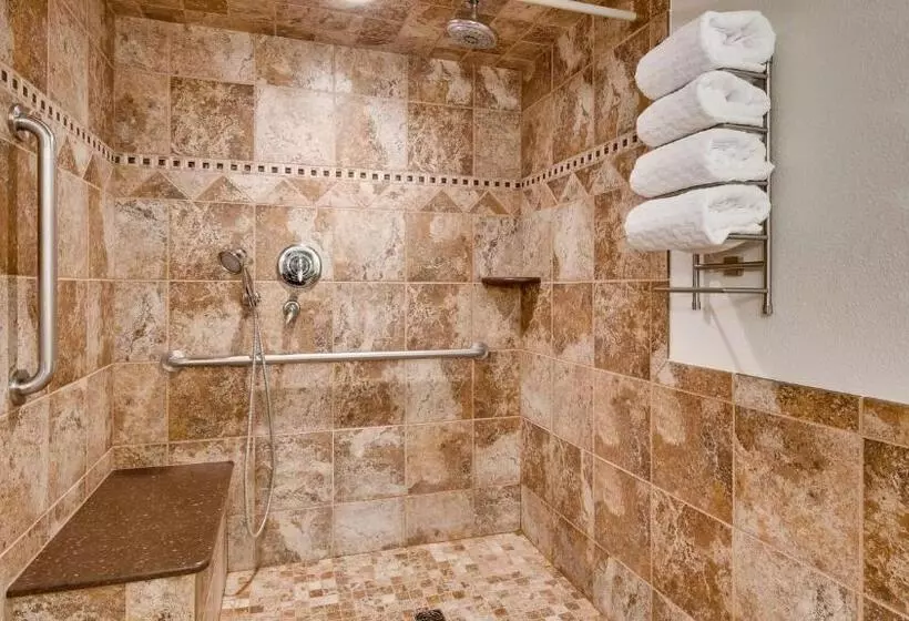 اتاق استاندارد برای معلولان, Best Western Plus Longbranch Hotel & Convention Center