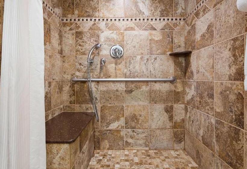 חדר סטנדרט מותאם לאדם עם מוגבלויות, Best Western Plus Longbranch Hotel & Convention Center