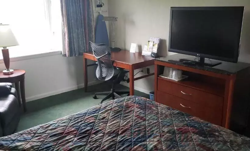 キングサイズベッドのスタンダードルーム, Huntingdon Motor Inn