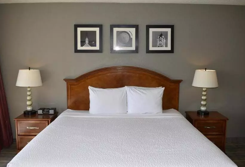 اتاق استاندارد با تخت بزرگ, Inn At The Convention Center