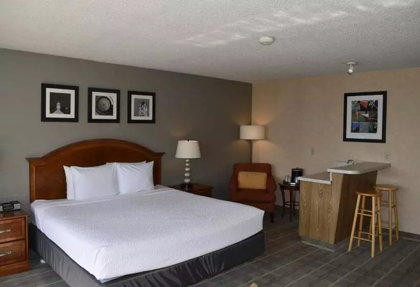 اتاق استاندارد با تخت بزرگ, Inn At The Convention Center