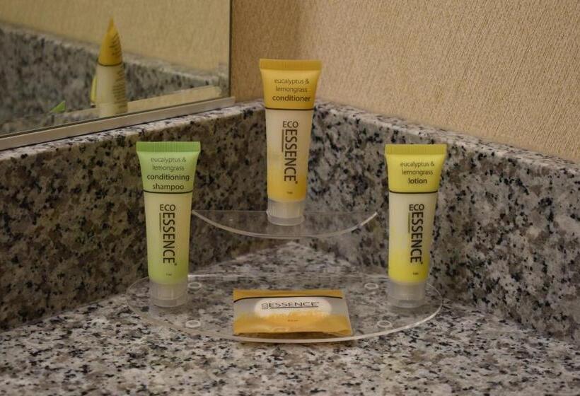 スタンダードルーム, Inn At The Convention Center