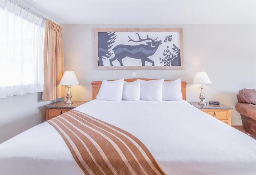 キングサイズベッドのスタンダードルーム, Murphy's Resort