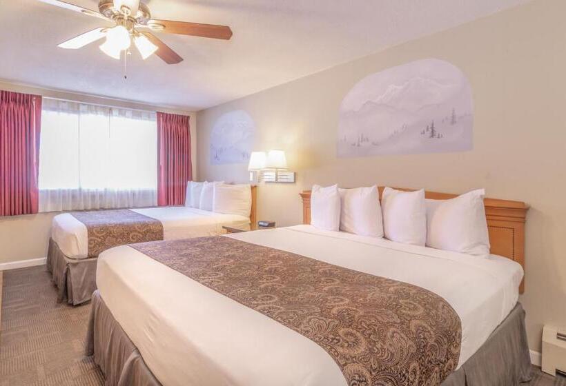 スタンダード4人部屋, Murphy's Resort