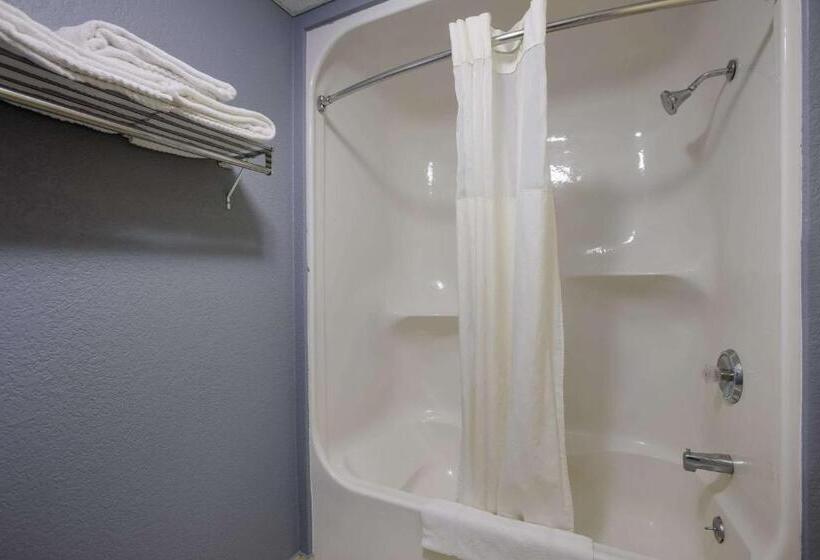 غرفة قياسية, Quality Inn & Suites Big Rapids Near University