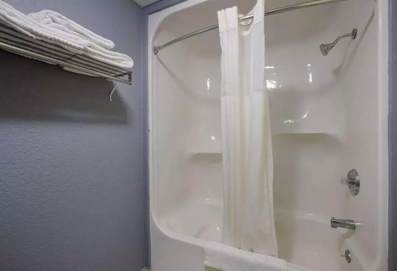 スタンダードルーム, Quality Inn & Suites Big Rapids Near University