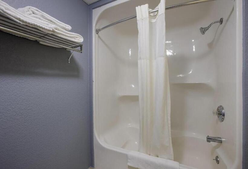 스탠다드 룸, Quality Inn & Suites Big Rapids Near University