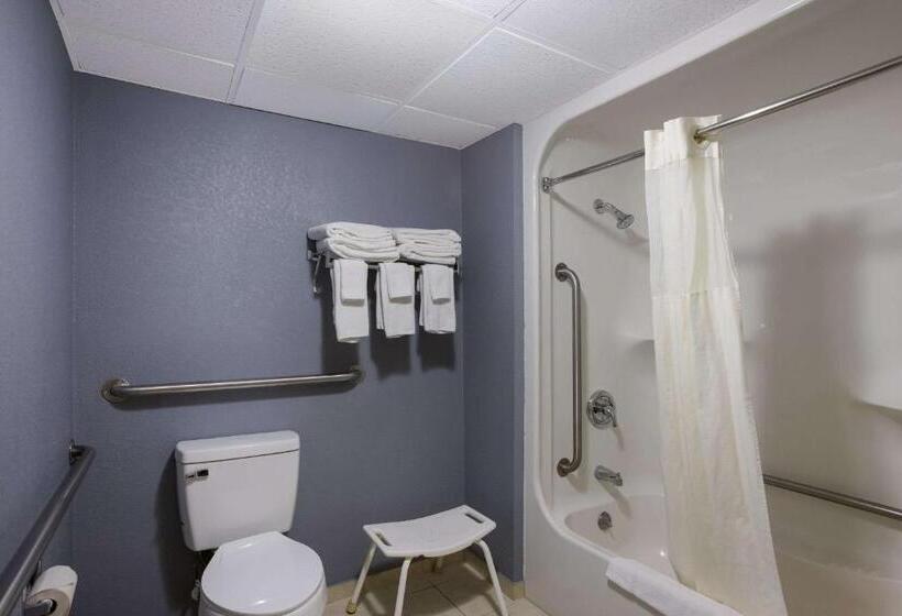 장애인을 위한 퀸사이즈 스탠다드 룸, Quality Inn & Suites Big Rapids Near University