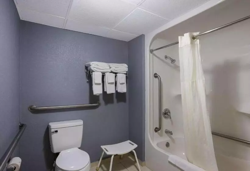 身障者適用クイーンサイズベッドルーム, Quality Inn & Suites Big Rapids Near University