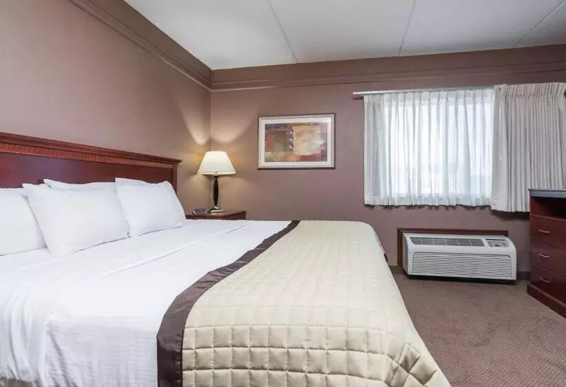 اتاق استاندارد با تخت بزرگ, Ramada By Wyndham Fargo