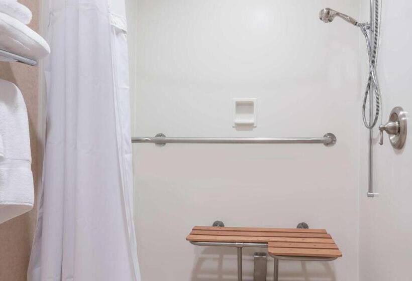 חדר סטנדרט, מיטת קינג, מותאם לאדם עם מוגבלויות, Ramada By Wyndham Fargo