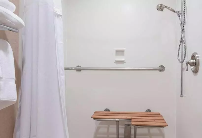 اتاق استاندارد با تخت بزرگ برای معلولان, Ramada By Wyndham Fargo