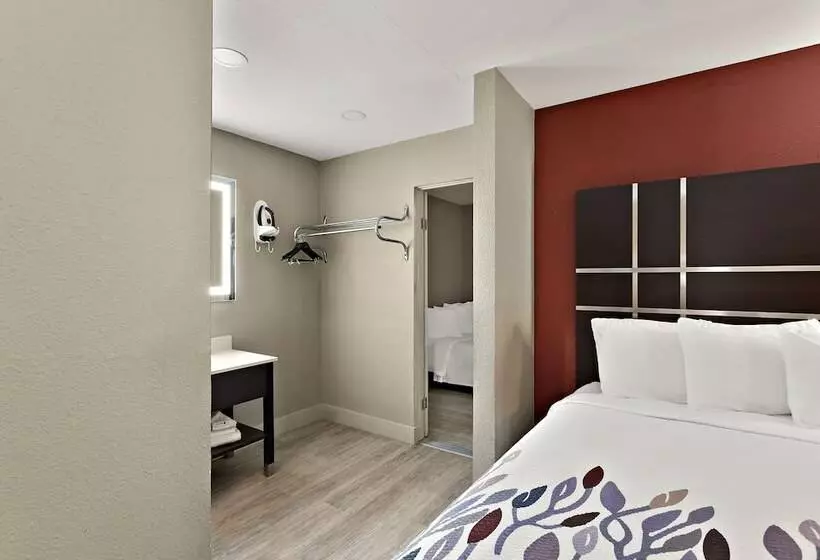 クイーンベッドのデラックスルーム, Red Roof Inn Redding