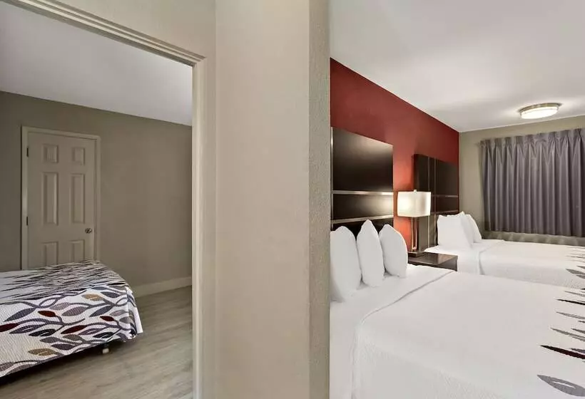 クイーンベッドのデラックスルーム, Red Roof Inn Redding