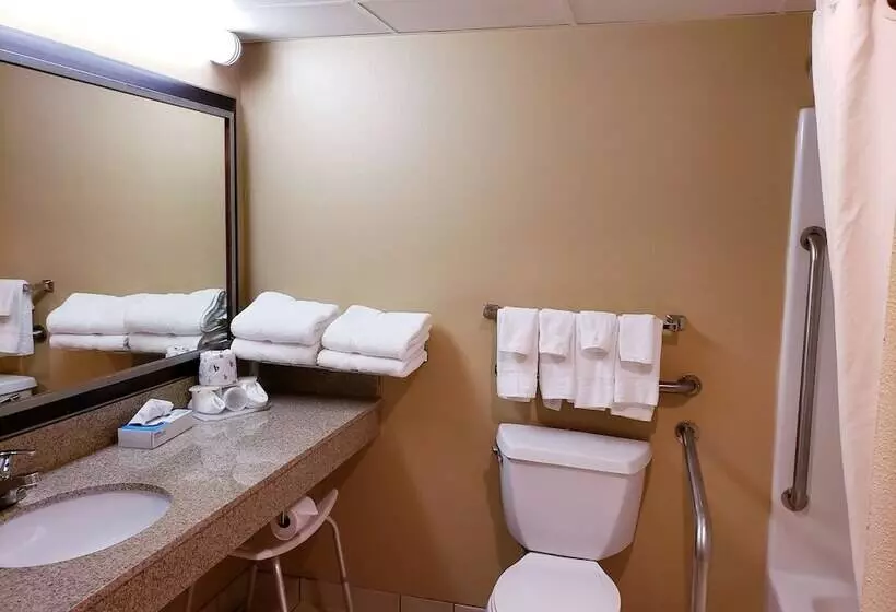 身障者適用スイートルーム, Quality Inn & Suites Black River Falls I 94