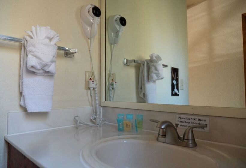 غرفه قياسيه سريرين مزدوجين, Western Holiday Lodge