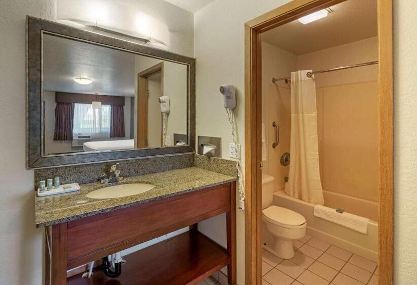 חדר סטנדרט, Best Western King Salmon Inn