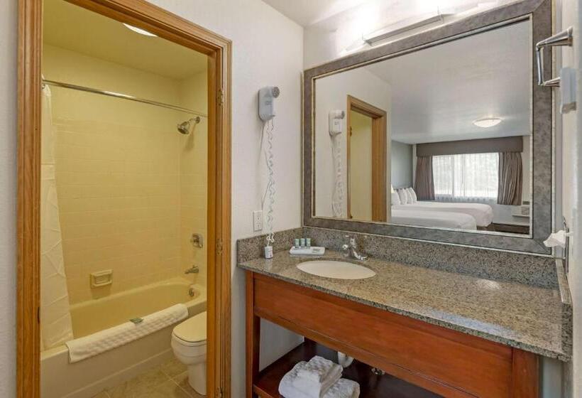 חדר סטנדרט עם מיטת קינג, Best Western King Salmon Inn