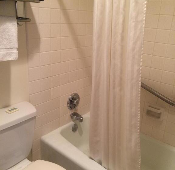 标准间, Island Inn