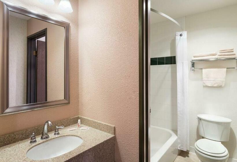 חדר דלוקס מותאם לאנשים עם מוגבלויות, Super 8 By Wyndham Fallon