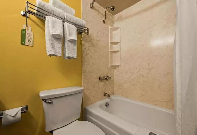 اتاق لوکس با تخت بزرگ, Best Western The Plaza Hotel Honolulu Airport