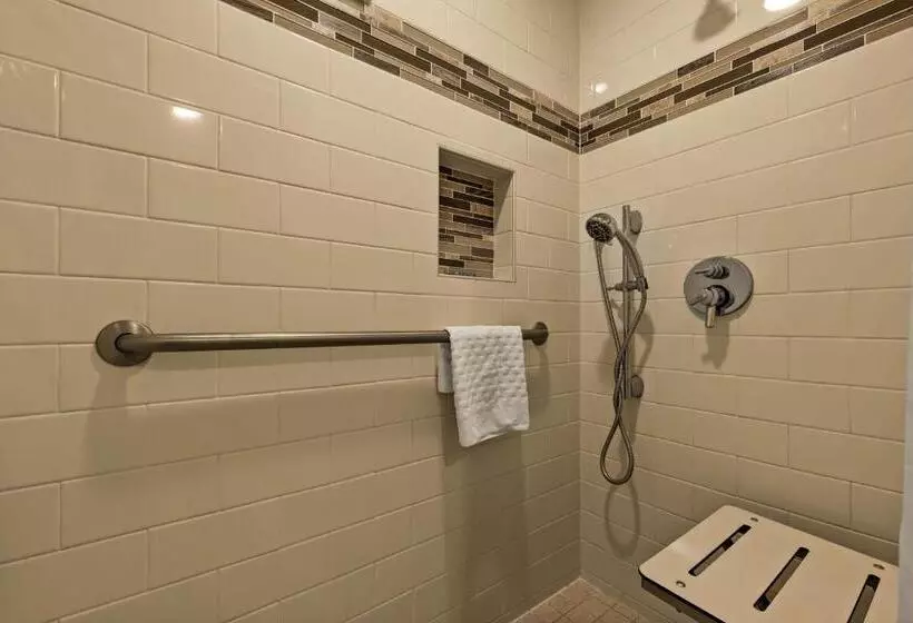 اتاق استاندارد با تخت بزرگ برای معلولان, Best Western The Plaza Hotel Honolulu Airport