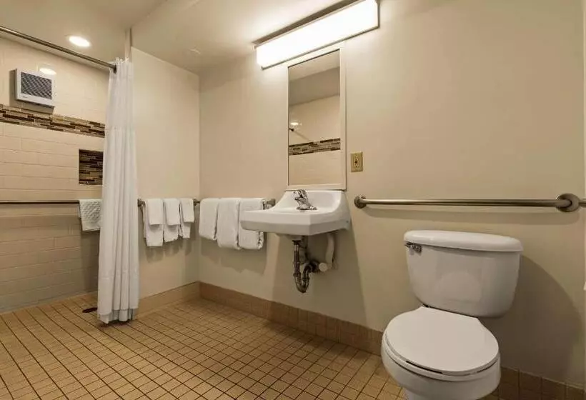 اتاق استاندارد با تخت بزرگ برای معلولان, Best Western The Plaza Hotel Honolulu Airport