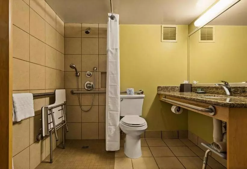 اتاق استاندارد با تخت بزرگ برای معلولان, Best Western The Plaza Hotel Honolulu Airport