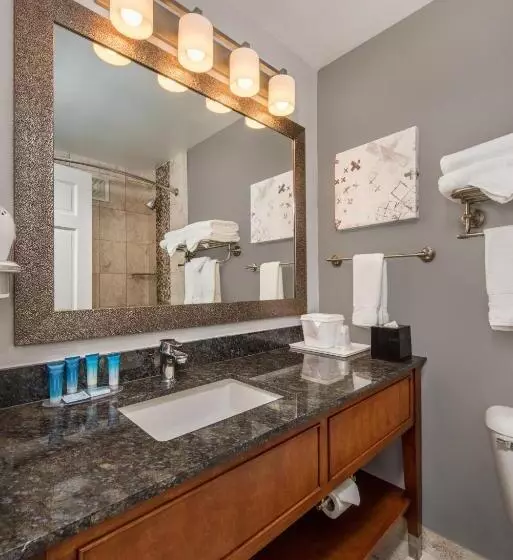 Standard-huone King-vuode, Best Western Plus Milwaukee West