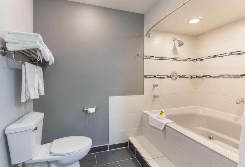 带大床的标准间, Best Western Plus Milwaukee West