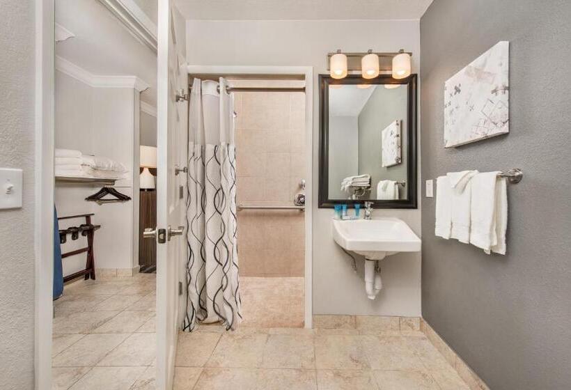 适合残疾人使用的标准间, Best Western Plus Milwaukee West