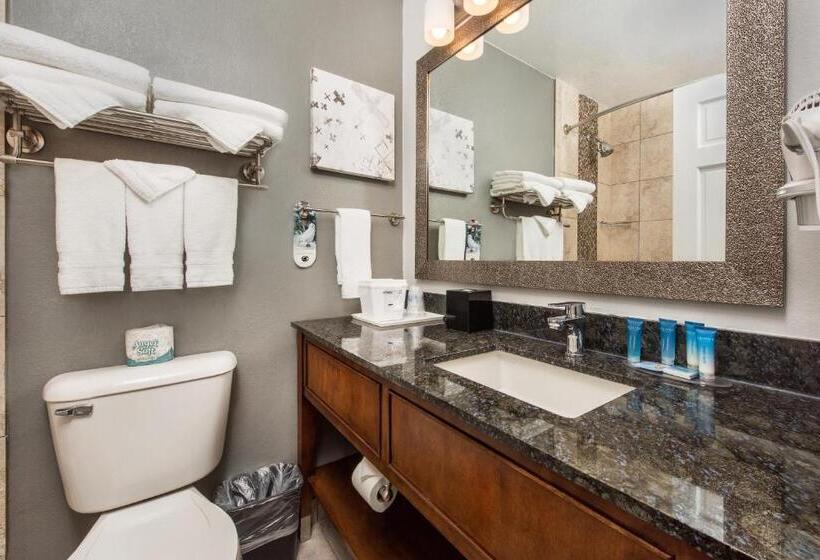 适合残疾人使用的标准间, Best Western Plus Milwaukee West