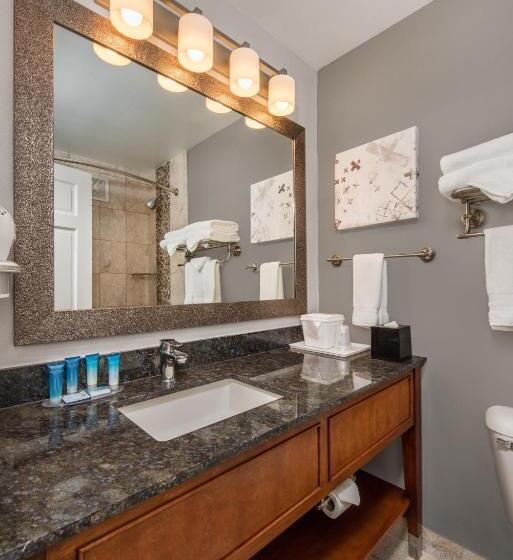 适合残疾人使用的标准间, Best Western Plus Milwaukee West