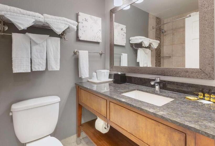 标准间, Best Western Plus Milwaukee West