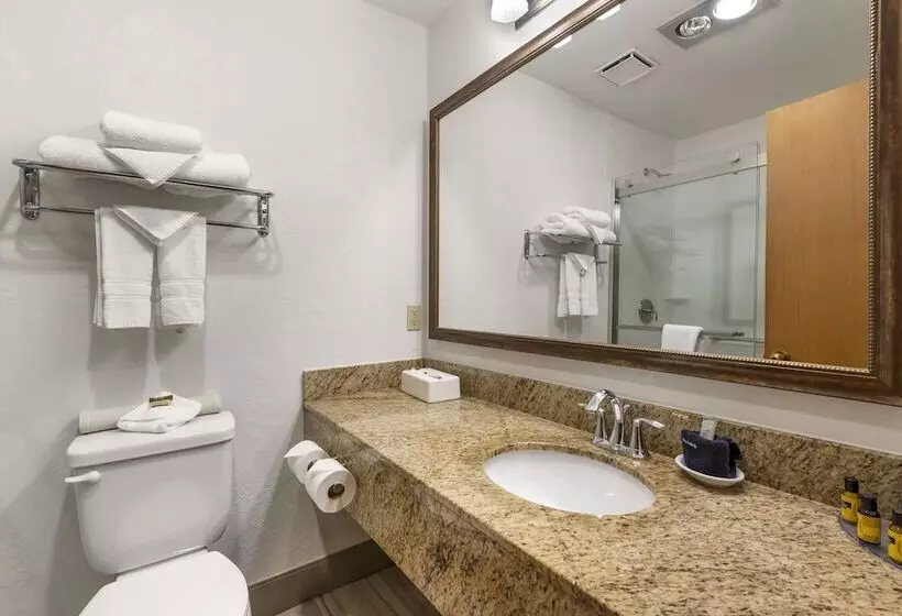 اتاق استاندارد با تخت دوبل, Best Western Plus Rio Grande Inn