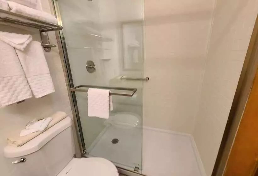 اتاق استاندارد با تخت دوبل, Best Western Plus Rio Grande Inn