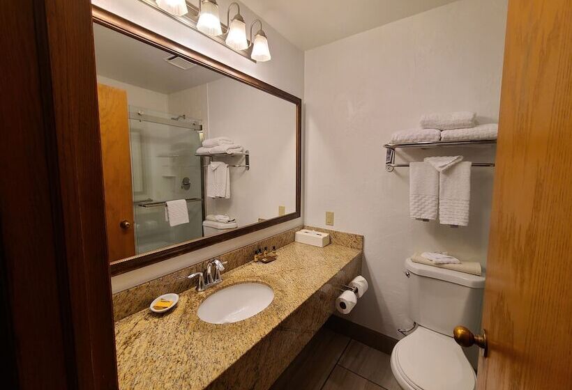 Номер Стандарт Двуспальная Кровать, Best Western Plus Rio Grande Inn