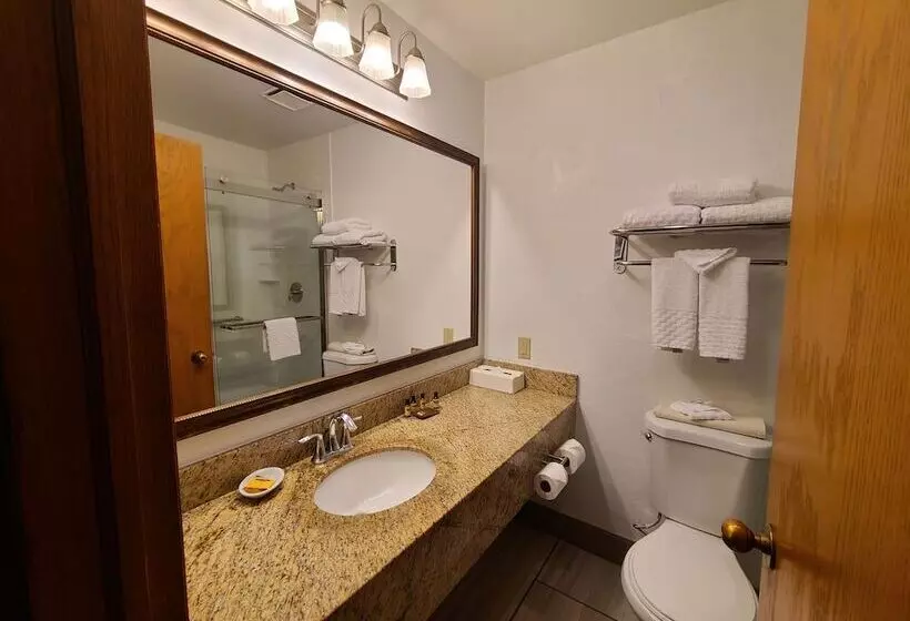 اتاق استاندارد با تخت دوبل, Best Western Plus Rio Grande Inn