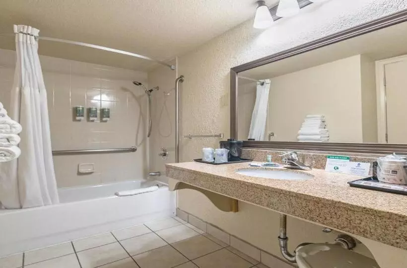 اتاق استاندارد با تخت بزرگ برای معلولان, Best Western Roseville Inn
