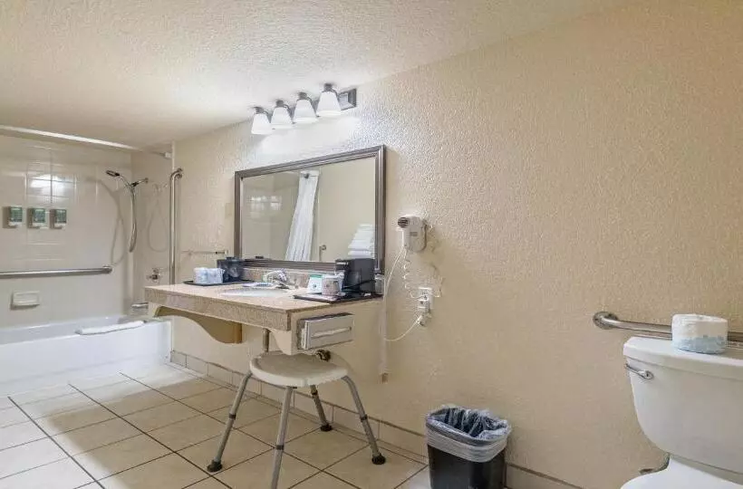 اتاق استاندارد با تخت بزرگ برای معلولان, Best Western Roseville Inn