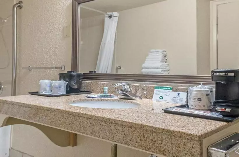 اتاق استاندارد با تخت بزرگ برای معلولان, Best Western Roseville Inn