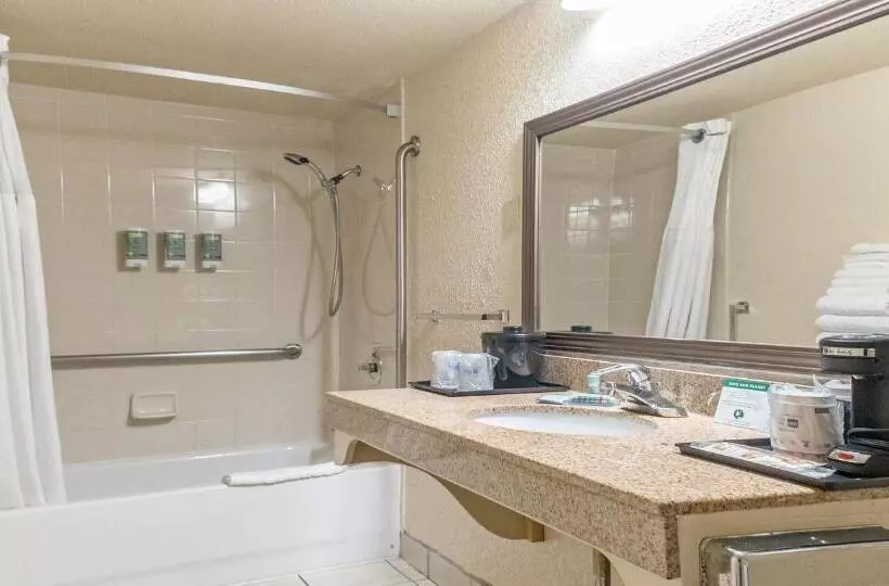 اتاق استاندارد با تخت بزرگ برای معلولان, Best Western Roseville Inn