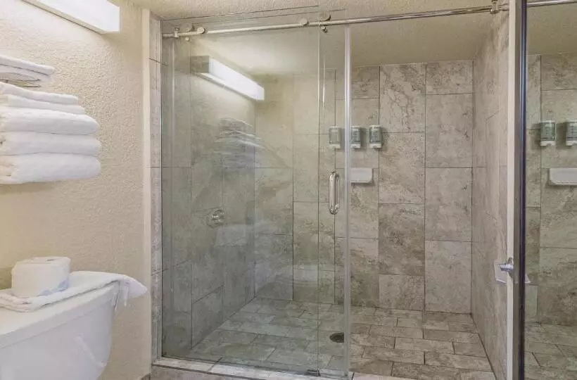 اتاق استاندارد با تخت بزرگ, Best Western Roseville Inn