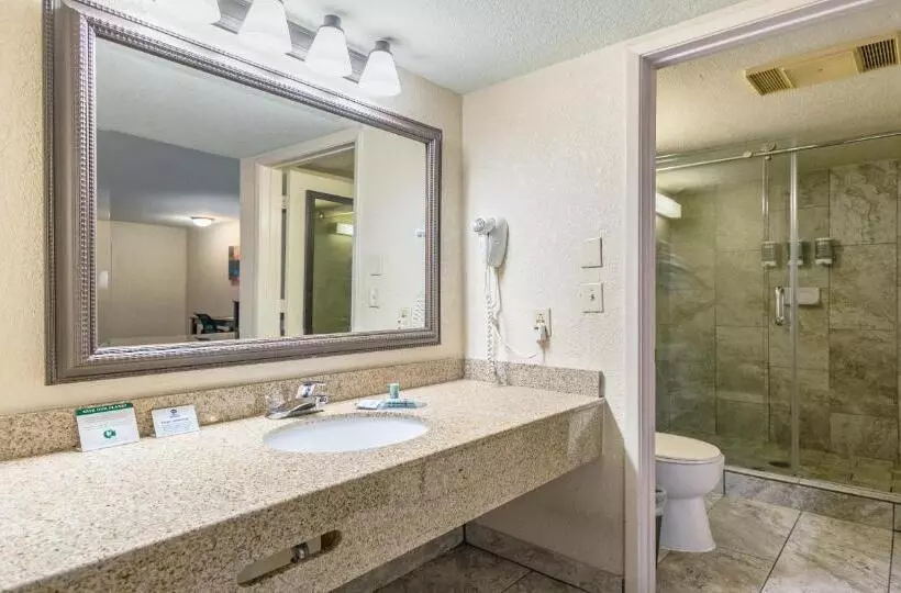 اتاق استاندارد با تخت بزرگ, Best Western Roseville Inn