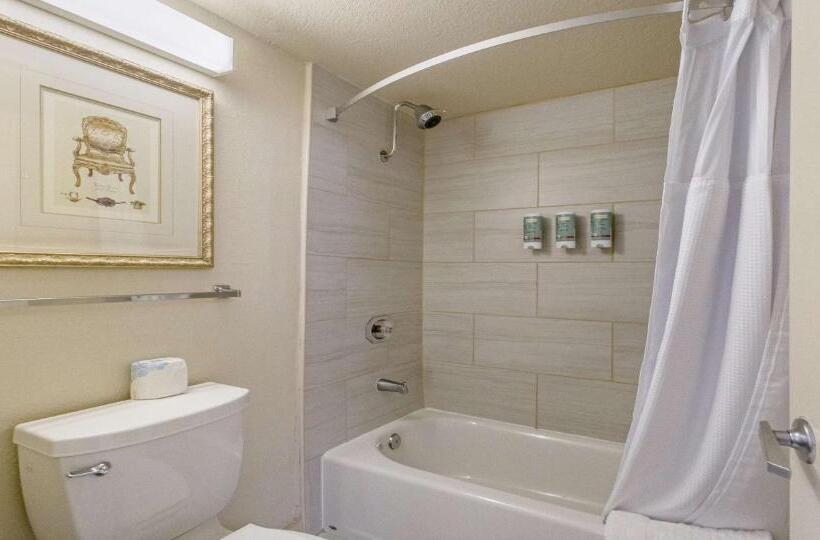 Номер Стандарт, Best Western Roseville Inn